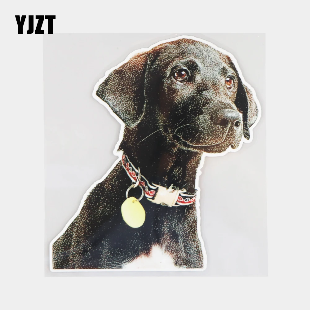 

YJZT 15.2×16.9CM Cute Black Dog Cartoon Car Decoration Accessories Scratch Occlusion Sticker 21A-0015