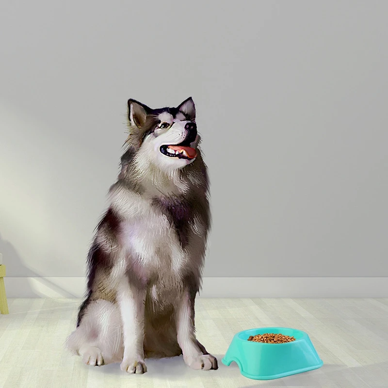 

5Pcs Pet Bowls Dog Food Water Feeder Pet Drinking Dish Feeder Cat Puppy Feeding Supplies Small Dog Accessories Slow Food