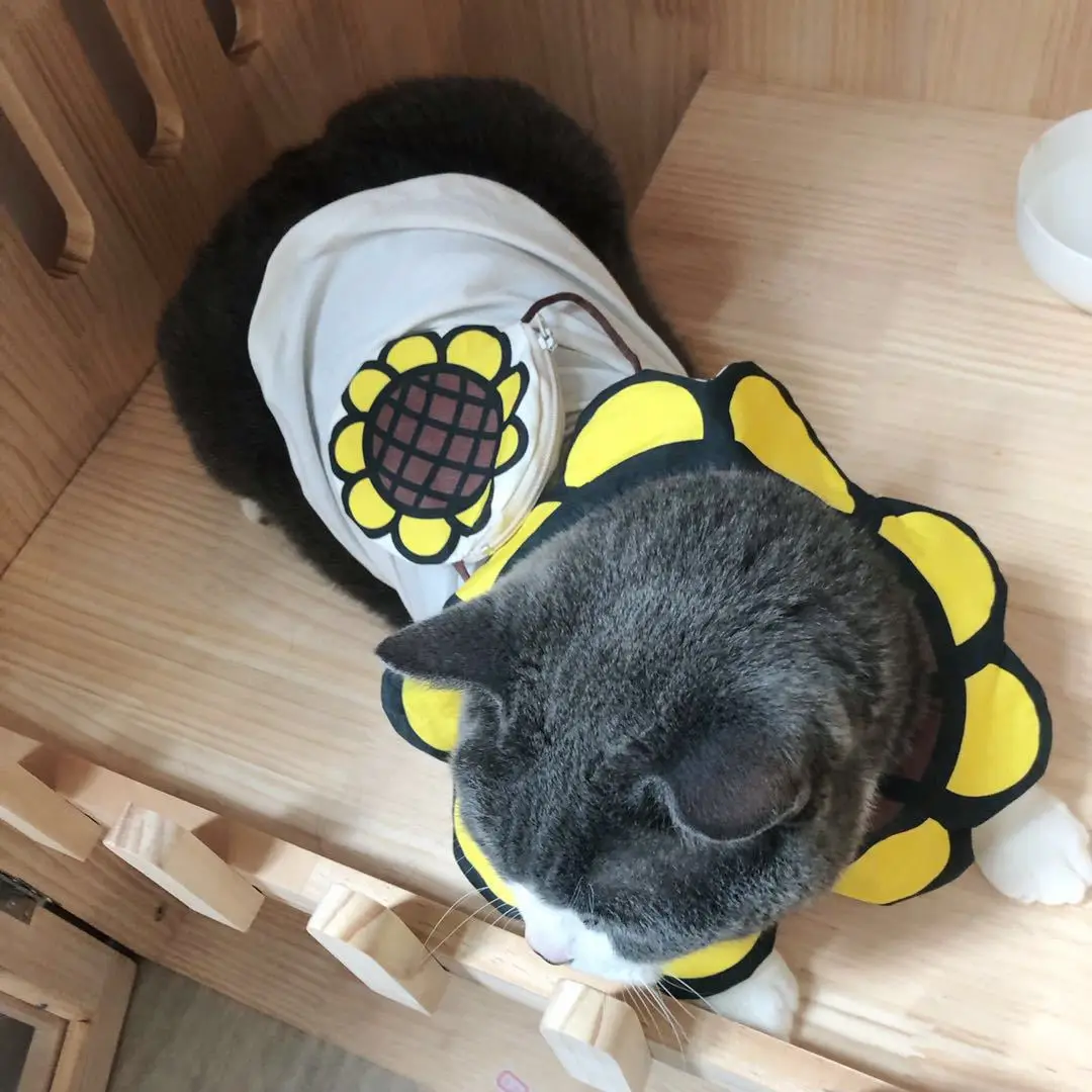 Одежда для собак маленьких жилет с подсолнухом французского бульдога чихуахуа