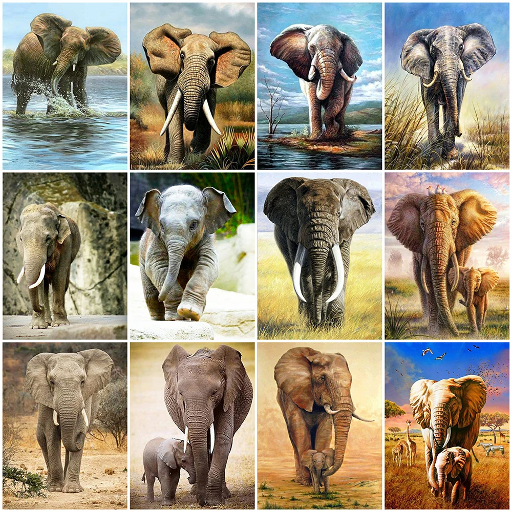 

MomoArt алмазов картина Бриллиантовая мозаика с животным "Слон" Сделай Сам Вышивка крестом картины Стразы Вышивка Искусство ручной работы пода...