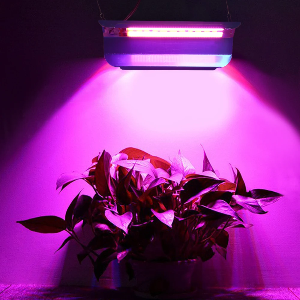 

COB LED Grow Light Full Spectrum 50W 80W Plant Lights IP65 Outdoor Waterproof Grow Tent Light Indoor Phytolamp Cultivation Lamps