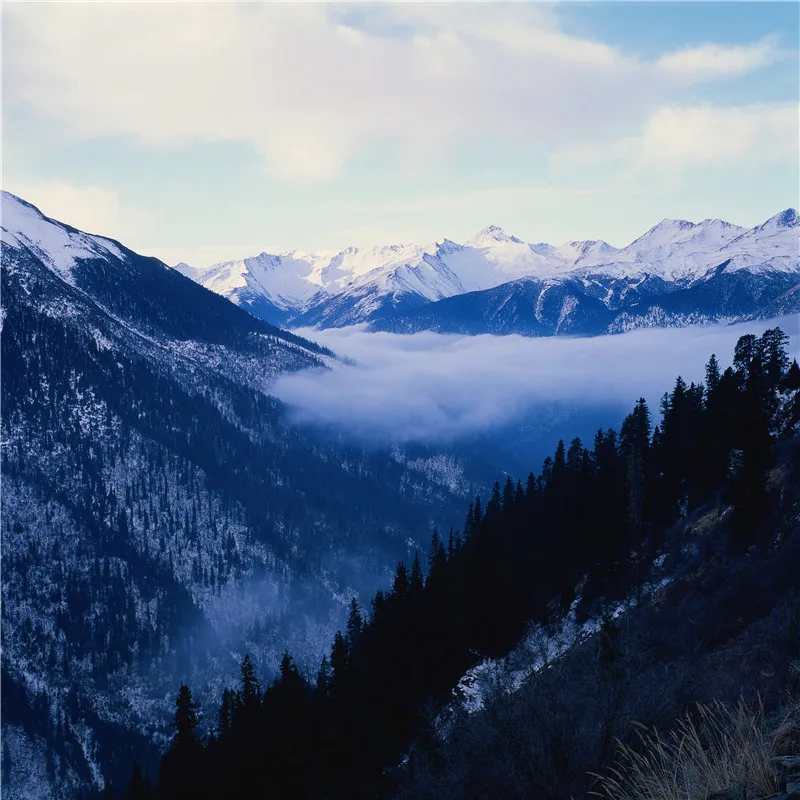 Виниловый фон Nitree для фотосъемки природный пейзаж снег горы голубое небо облако