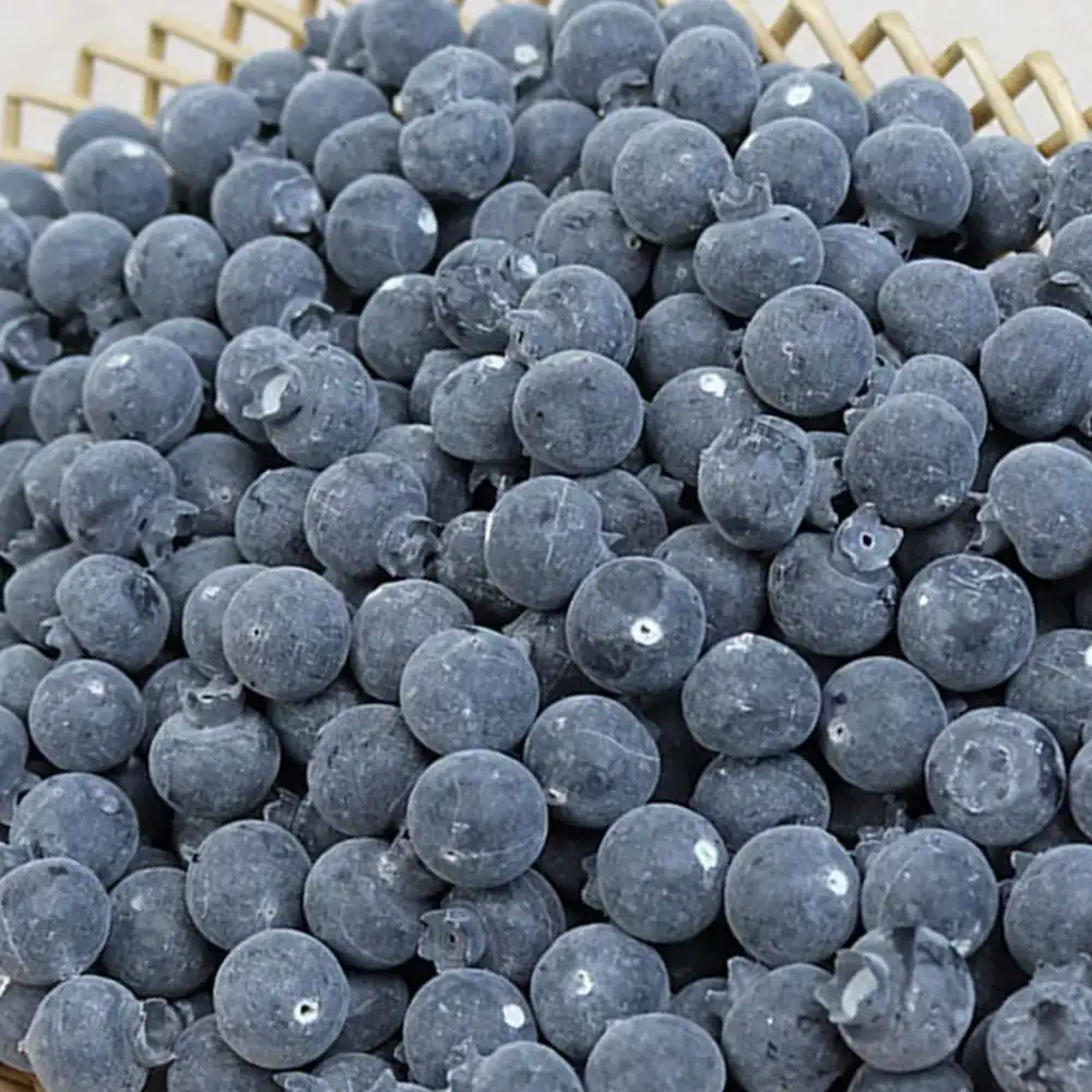 

50pcs Simulation Blueberry Raspberry Photography Props Decoration for Hotel