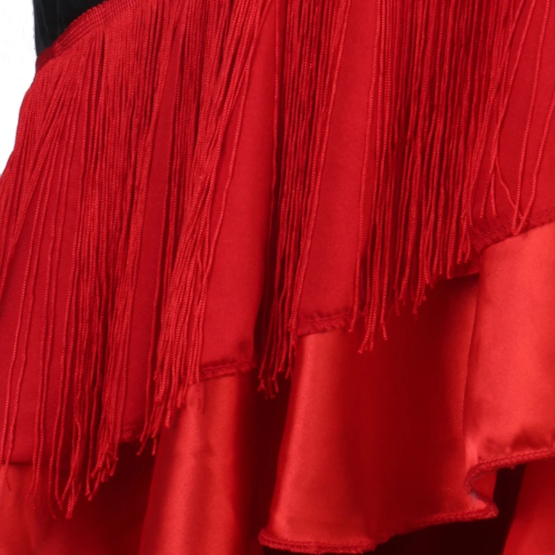 

Latin Dance Dress Women Cha Cha Samba Salsa Fringe Competition Dresses Ladies Rumba Tango Performance Clothing Customized DC4061