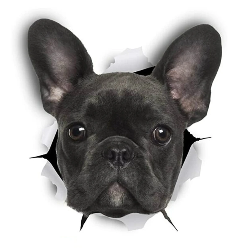 

12*9cm Dazed french bulldog Car Sticker Motorcycle Bumper Trunk Laptop Window Decals Vinyl Car Styling Decoration