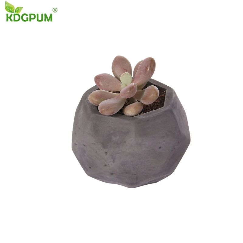 Новинка 2019 Креативный цветочный горшок простое пасторальное суккулентное