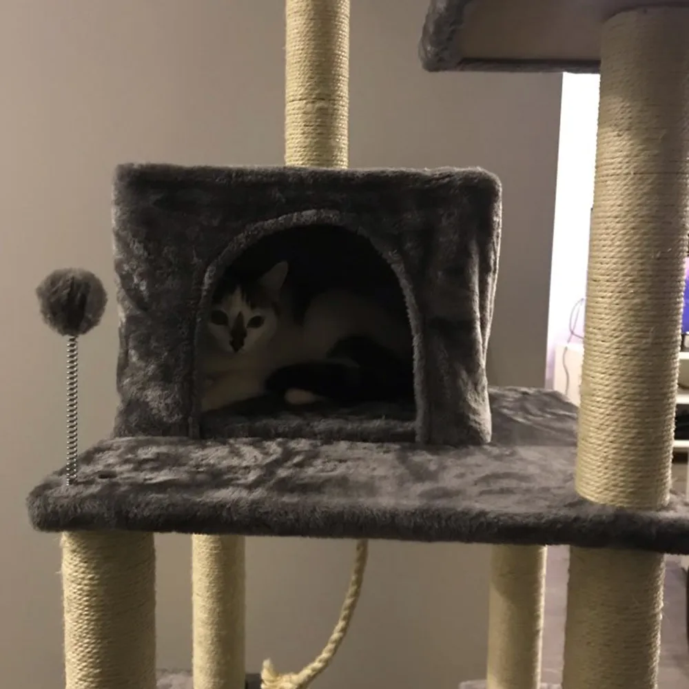 Pet Скребок Пост пеньковая веревка DIY сизалевая веревка для Когтеточка для кошек дерево забавные игрушки для кошек веревка для обвязки для кошка ловить рамки 3/5/10/20 м
