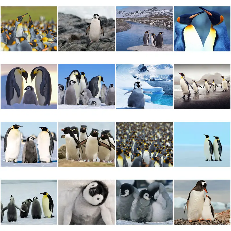 

5D алмазная живопись «сделай сам», Набор для вышивки крестиком, полная квадратная круглая вышивка стразы, мозаичная картина, украшение для д...