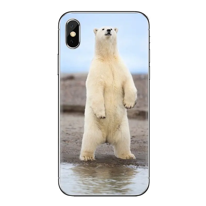 Для samsung Galaxy S3 S4 S5 Mini S6 S7 Edge S8 S9 S10 Plus Note 3 4 5 8 9 Polar bear на пляже Аляски силиконовые