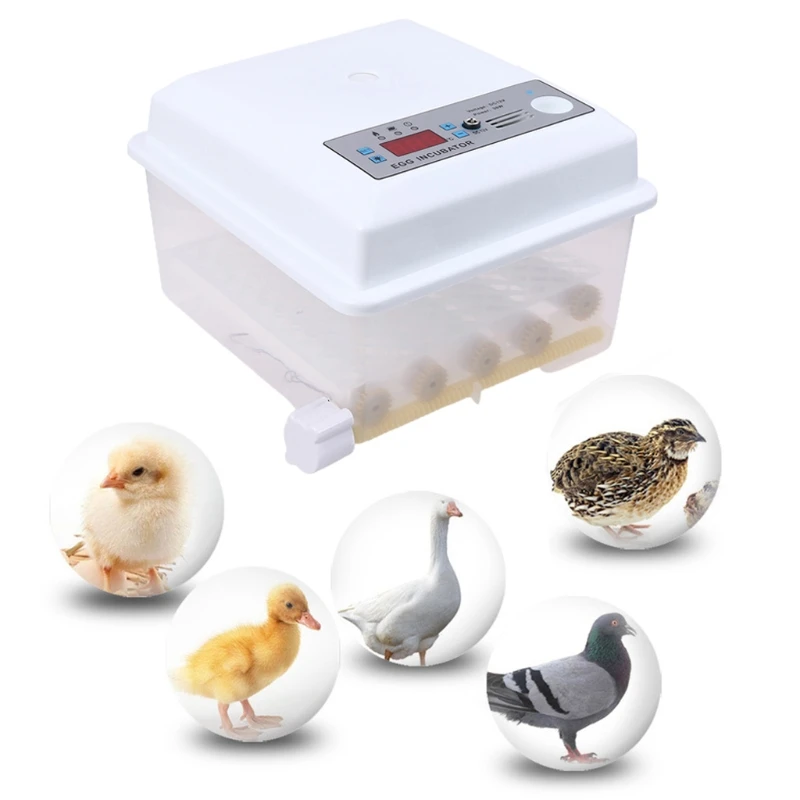 

220V Eggs Incubator Brooder Birds Quail Chick Hatchery Poultry Hatcher Turner
