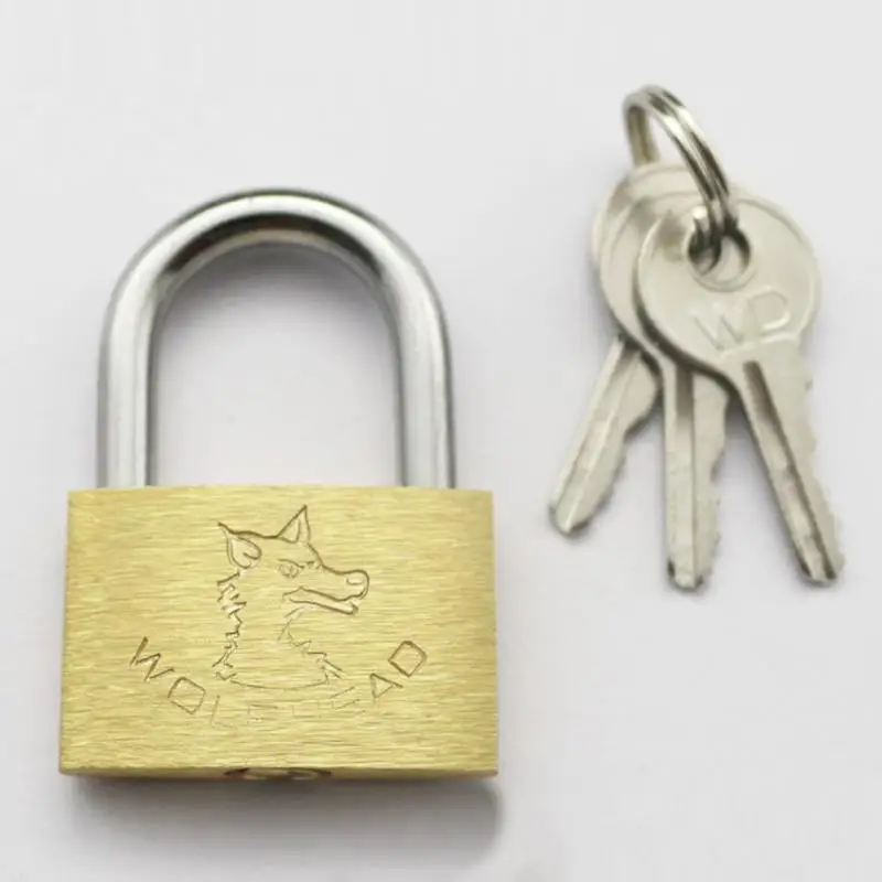 Медный замок с волчьей головкой латунный небольшие замки дверные 20 мм 25 30 40 не
