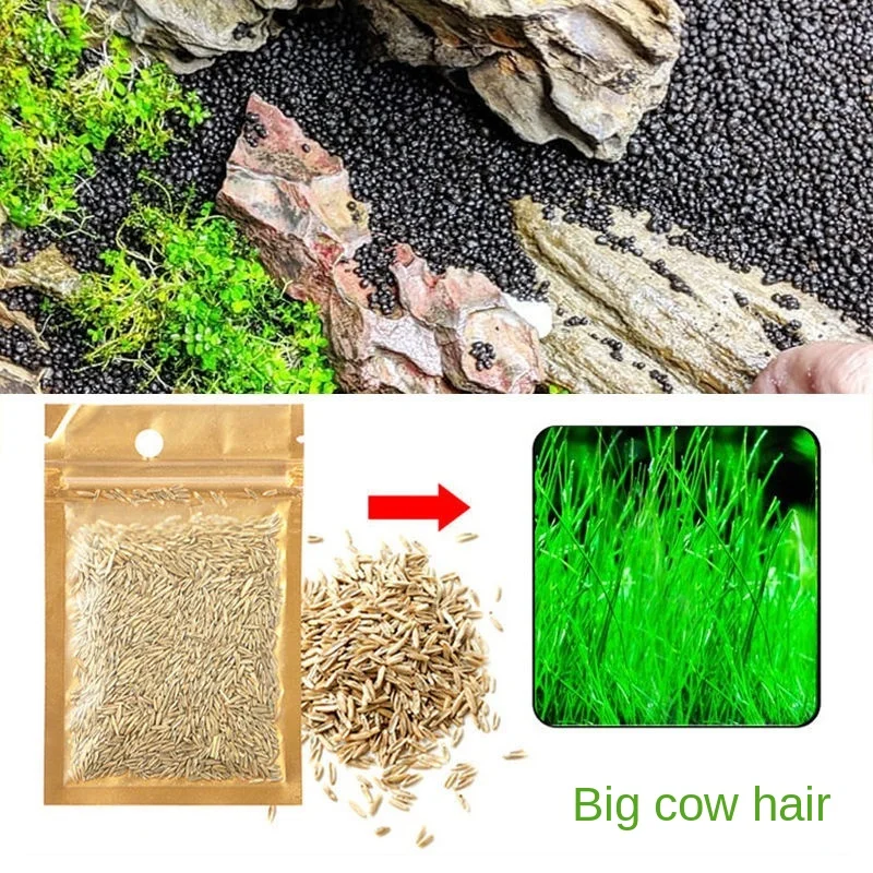 Aquarium decoration accessories Fish tank plants grass Simple operation and beautiful water purification | Дом и сад