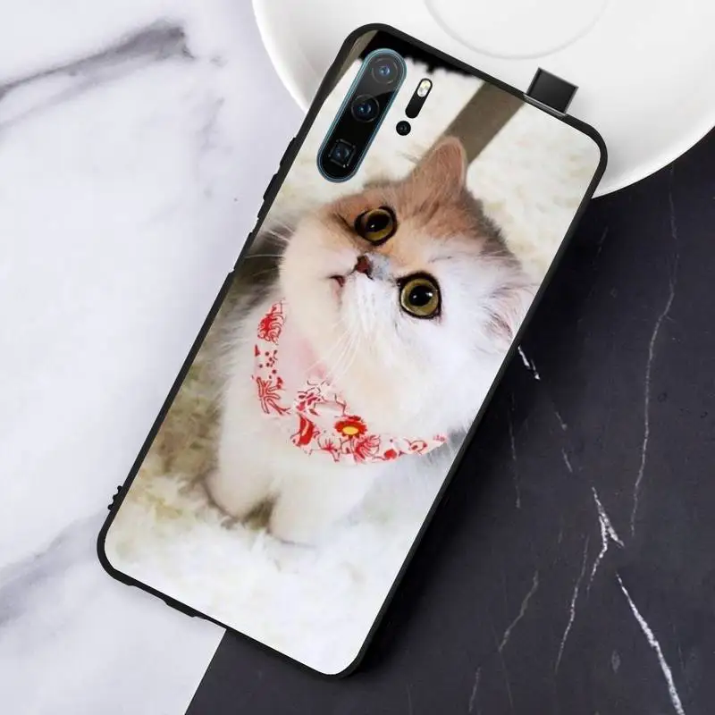 

Animal Cat cute pattern mobile Phone Case For Huawei honor Mate P 10 20 30 40 Pro 10i 9 10 20 8 x Lite