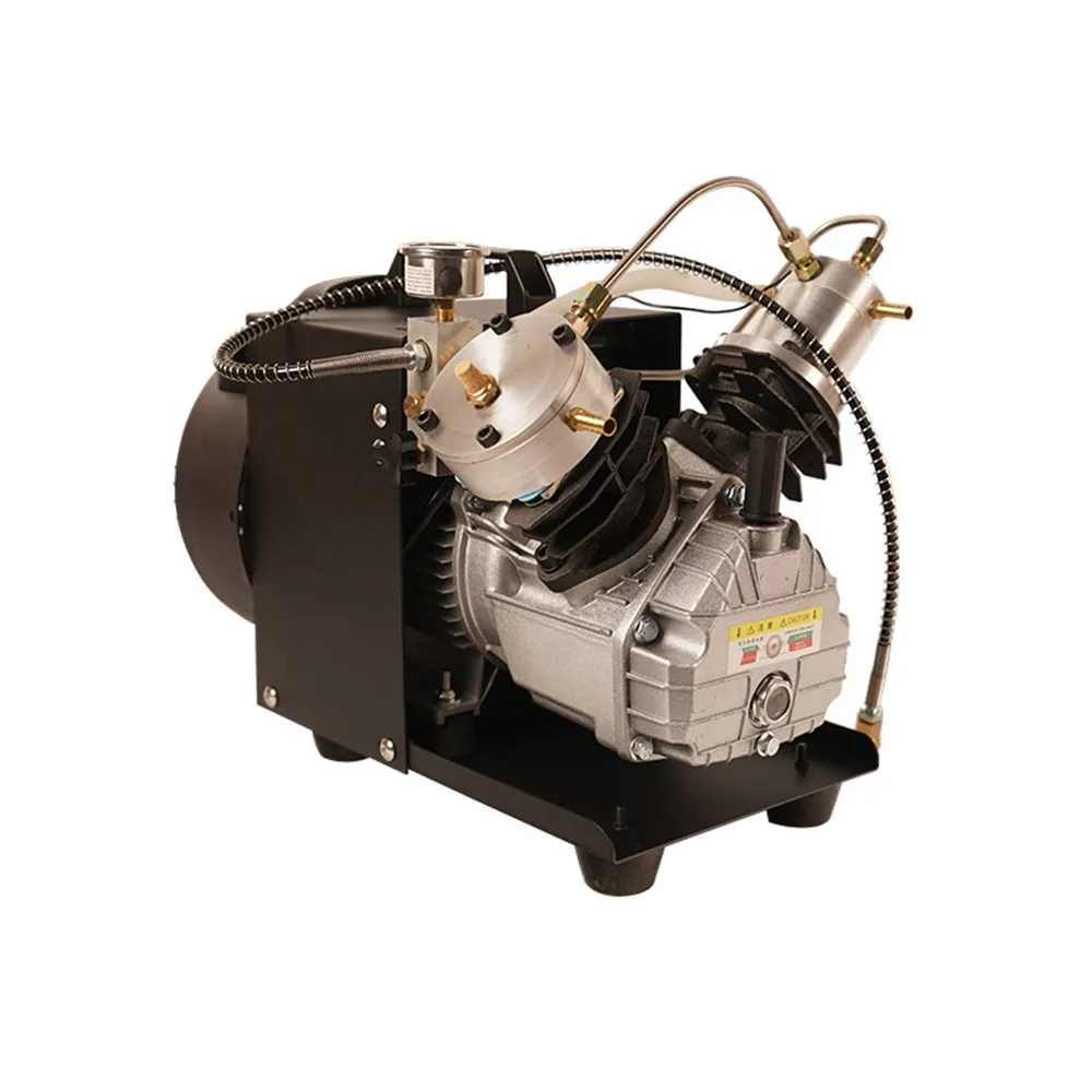Воздушный мини компрессор TUXING 4500psi Двухцилиндровый высокого давления pcp насос