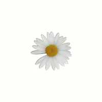 kpop womens brooch vintage daisy lapel pins for backpacks cute acrylic jewelry badges gifts hat shirt accessories