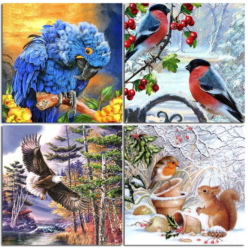 

Алмазная 5D картина «сделай сам», птица, попугай, Орел, стразы, картины, алмазная вышивка, животное, вышивка крестиком, Набор для творчества