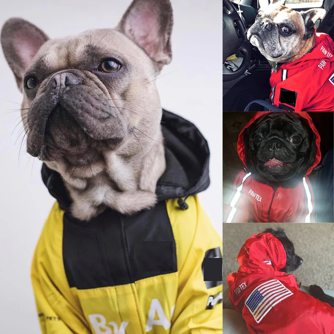 French Bulldog Windproof Letter New Designer Dog Clothes Luxury Hoodies Sweater Pet Accessories Jacket Winter Waterproof Coat