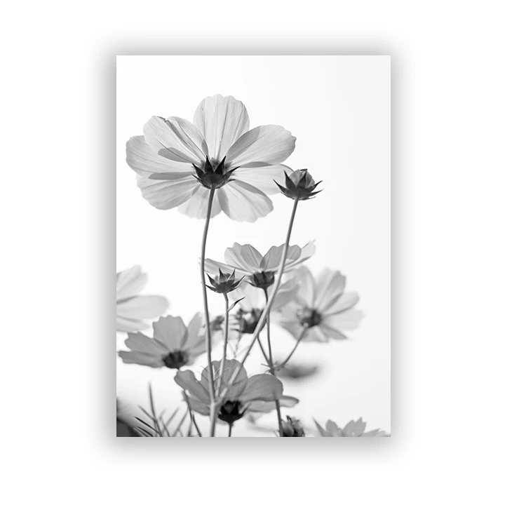 

Wall Paintings Black And White Flower Print Fresh Wall Art Feather Dandelion Pictures Posters Canvas Living Room Decoration