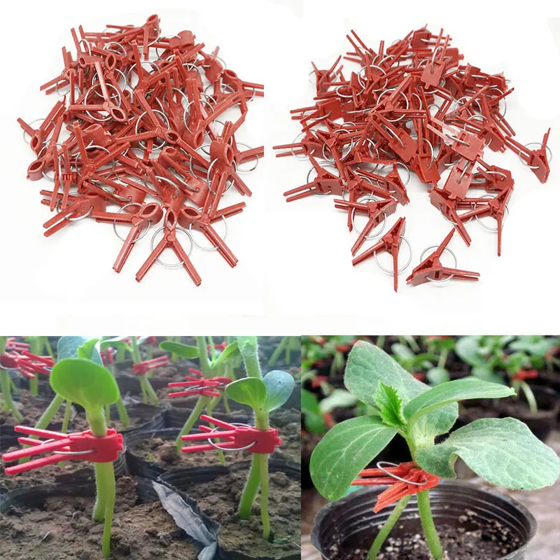 

50pcs Plastic grafting Graft clip Garden Plant Support for Vegetable Flower Tomato Stalks Fix Grow Upright Grafting Tool