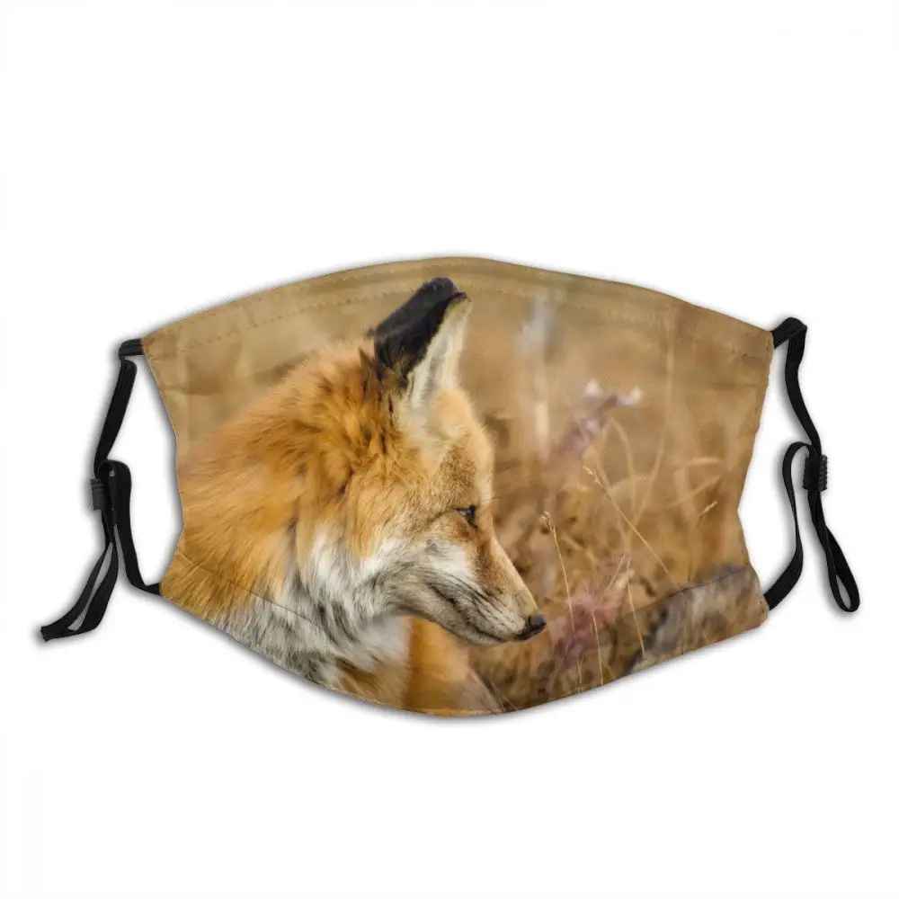 

С рисунками животных, лисы из мультфильмов разборные с принтом губ маска для лица с фильтрами против ветра пыли Высококачественный защитны...