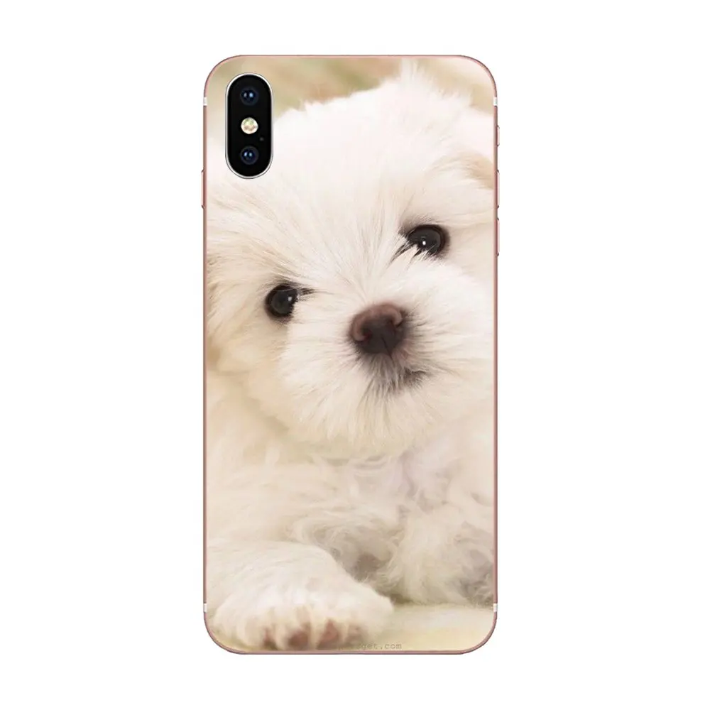 Футболки с надписью I Love My Мальтийская болонка Щенки для Galaxy Alpha Note 10 Pro A10 A20 A20E A30 A40