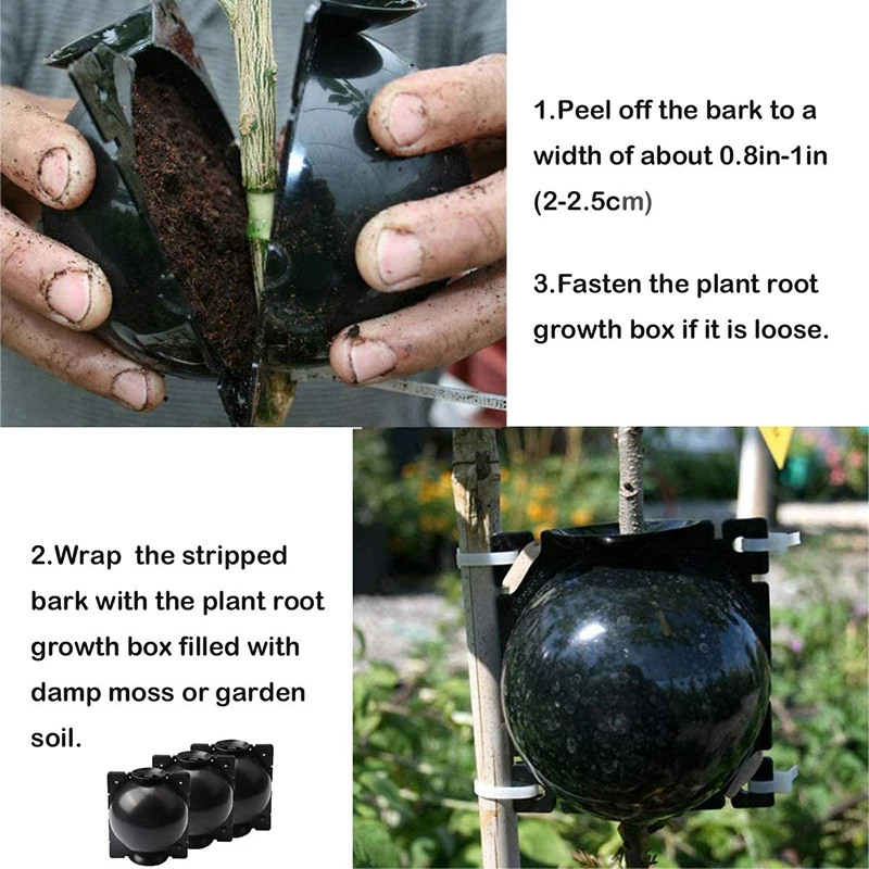 5 шт. завод укоренения мяч прививки гроубокс разведение чехол корня завода для