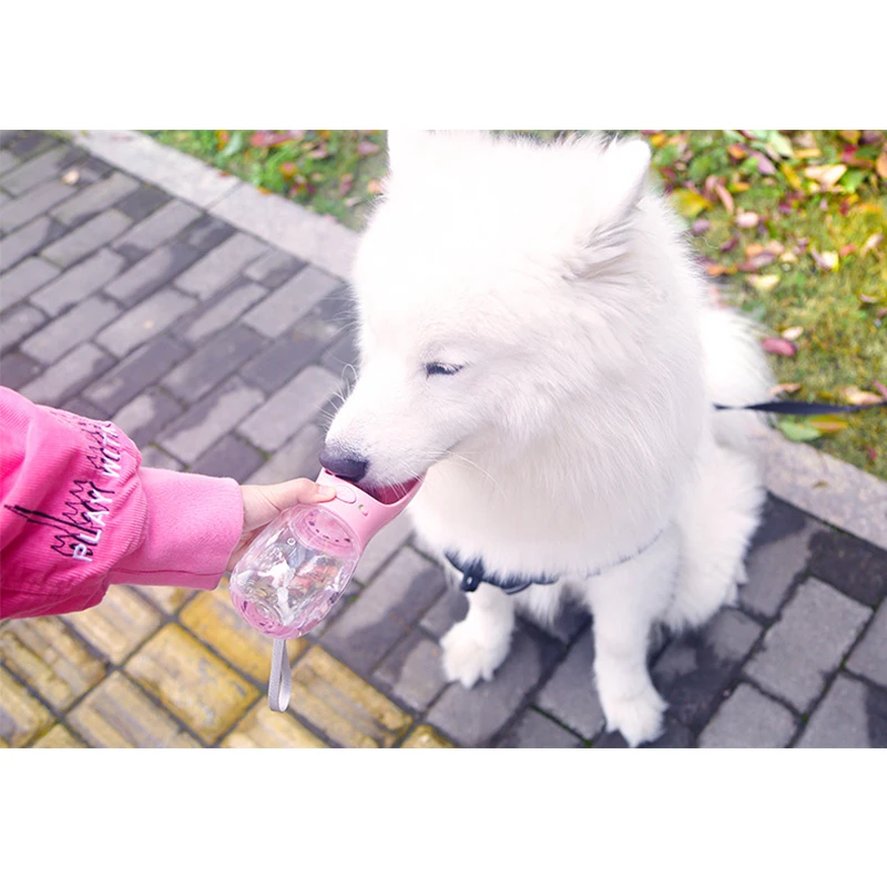 

Portable Dog Water Bottle 350/550ml Large Pet Dogs Travel Puppy Cat Drinking Bowl Outdoor Pet Water Dispenser Feeder Accessories