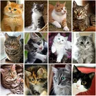 Алмазная 5D картина сделай сам с изображением кошки, полная выкладка, вышивка крестиком с животными, стразы, настенное искусство, подарок, домашний декор