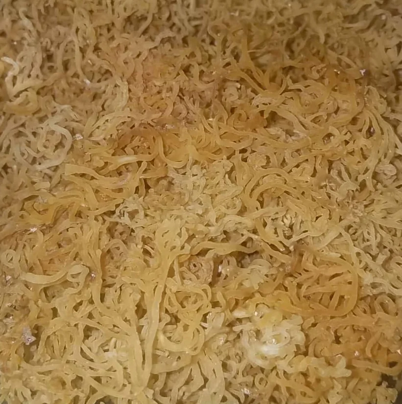 

100% irish moss natural sea moss raw wild crafted 450g