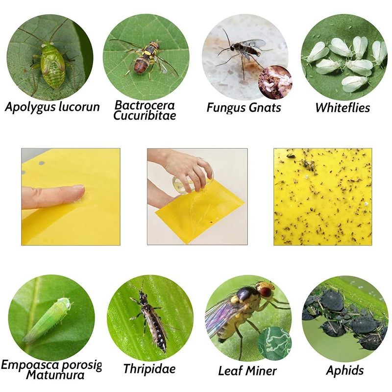 

100pcs Strong Fly Traps Bugs Sticky Board Dual-Sided Catching Aphid Insects Pest Control Whitefly Thrip Leafminer Glue Sticker