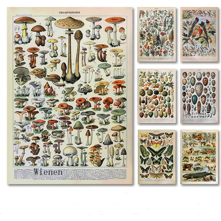 

Paleobios Plants Vegetables Fruits Retro Poster Flower Animal Insect Butterfly Canvas Painting Wall Art Picture Home Decor