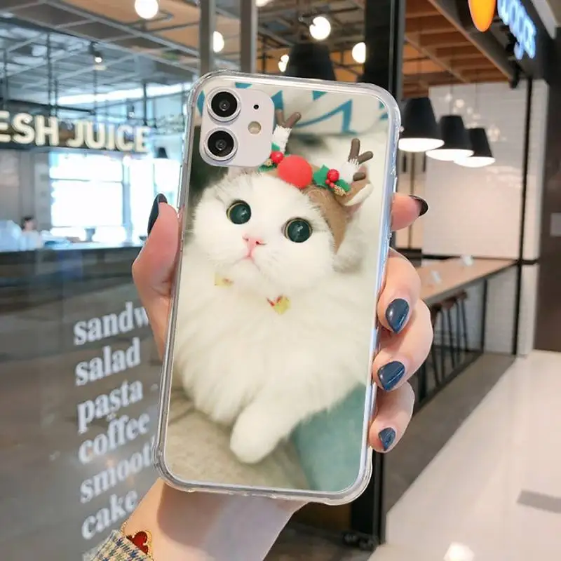 

Cute pet cat ragdoll cat Luxury Phone Case Transparent for iPhone 11 12 mini pro XS MAX 8 7 6 6S Plus X 5S SE 2020 XR