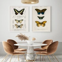 vintage butterfly insect education wall art canvas painting nordic posters and prints wall pictures for living kids home decor