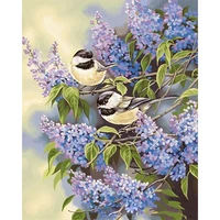 selilali painting by numbers kits for adults bird and flower picture hand painted paint by number kits bedroom wall artcraft