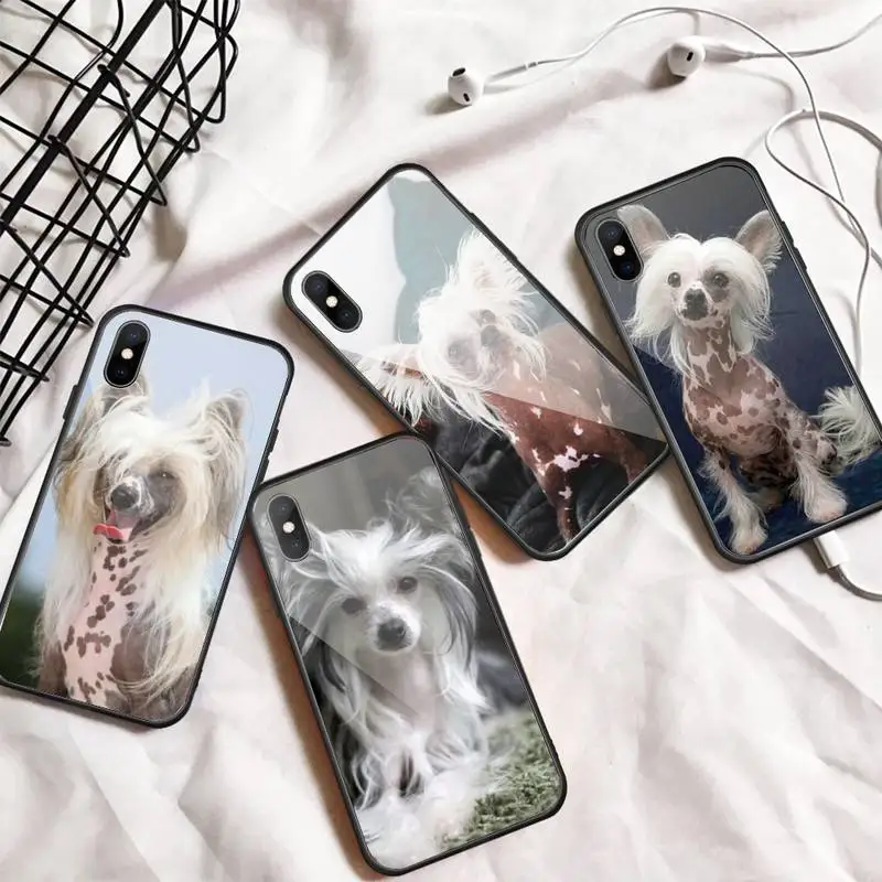 

Dog of breed Chinese crested Phone Case Tempered glass For iphone 6 7 8 plus X XS XR 11 12 13 PRO MAX mini