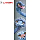 Huacan 5d рукоделие, Алмазная мозаика картина с квадратнымкруглые стразы страуса Алмазная вышивка с изображением животных, комплект детской одежды модульная фотографии