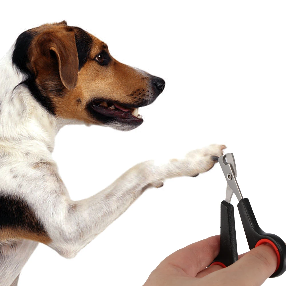 Машинка для стрижки когтей из нержавеющей стали|Кусачки собак| |