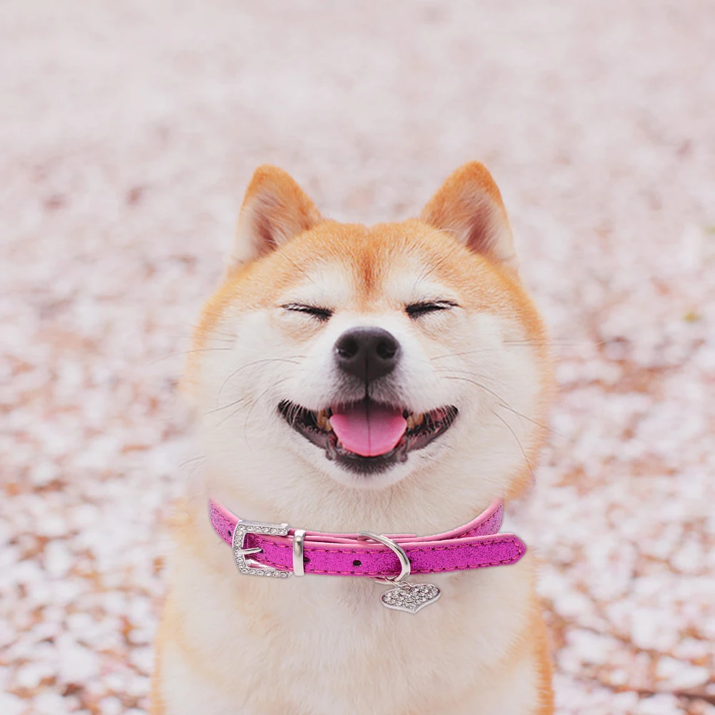 Аксессуары для домашних животных аксессуары собак и кошек в форме