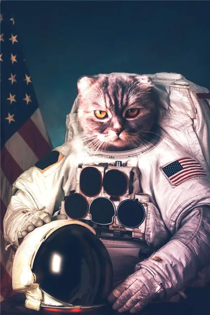 

Cat Animal Poster In Space Northern European Style Waterproof Ink Painting Print Painting Modern Living Room Bedroom Decoration