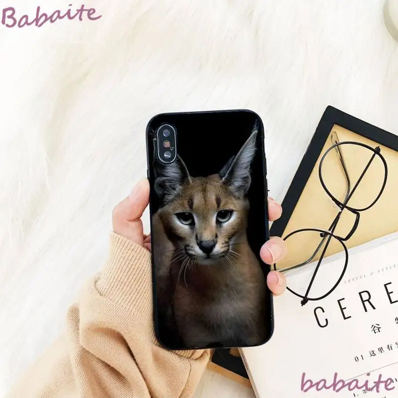 

Babaite African Lynx Caracal Big Cat Phone Case For iPhone 8 7 6 6S Plus X XS MAX 5 5S SE XR 11 11pro promax 12 12Pro Promax