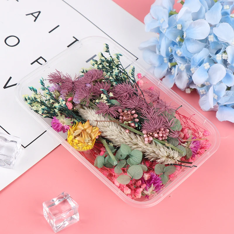 

1 Box Pressed Dried Ammi Majus Flower Dry Plants For Epoxy Real Flowers Dried Nail Art Decoration DIY Manicure Tools