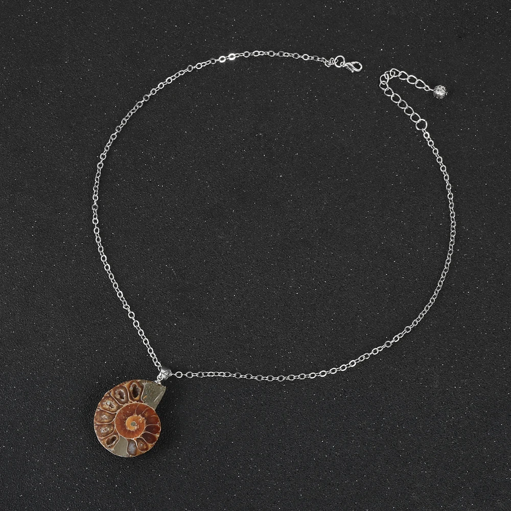 Женский и мужской натуральный окаменелостей аммония кулон Улитка ожерелье океан