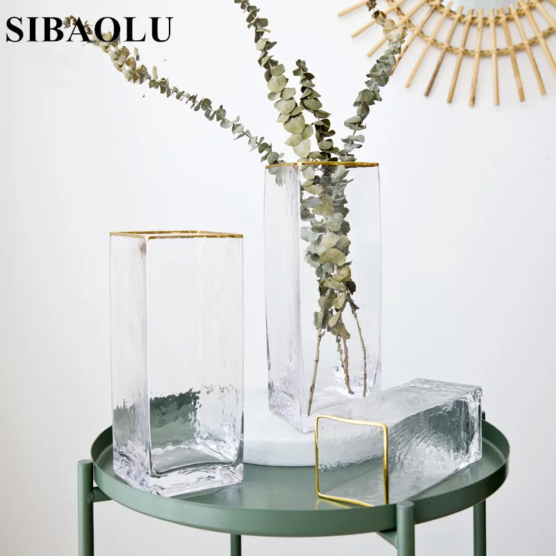 Стеклянная ваза INS маленькие прозрачные скандинавские вазы простой Террариум