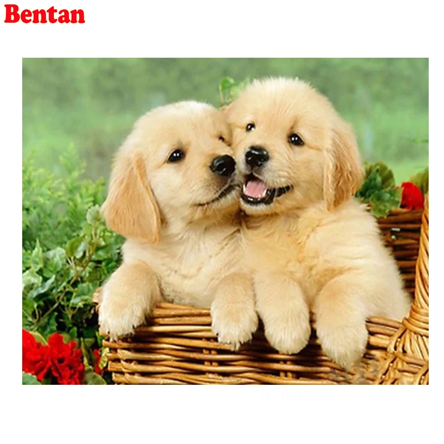 

5D DIY Diamond Painting Spaniel Cute Puppy Diamond Embroidery Full Square Round Drill Cross Stitch Kit Needlework Decoration New