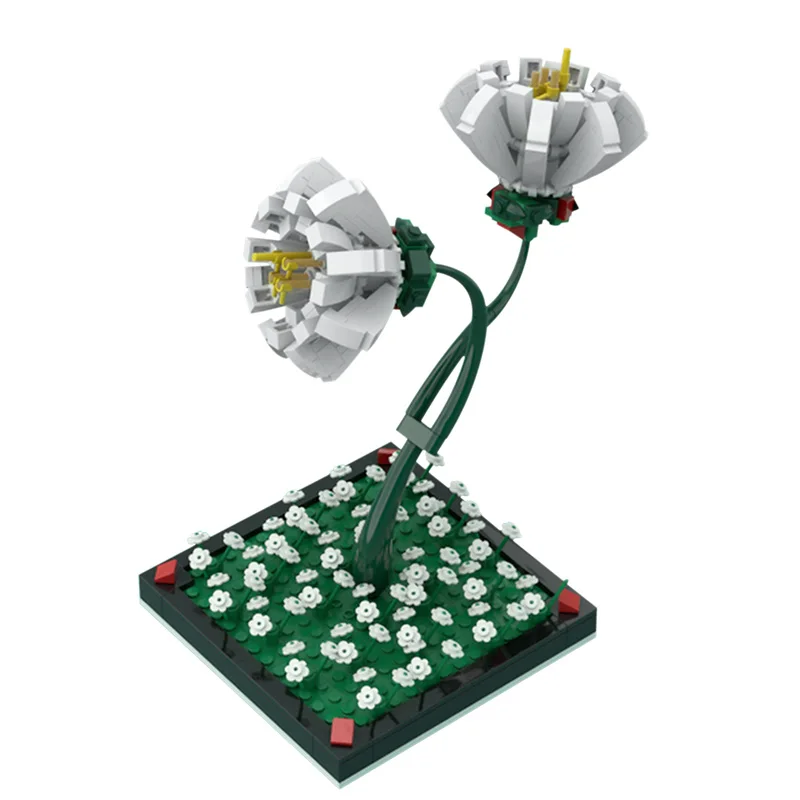 Блокировка друзья создатель букет из камелий розы модель сборки строительные