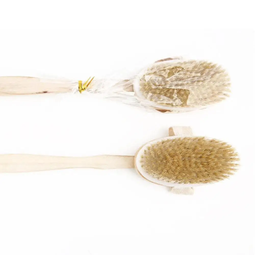 

Bathroom Body Brushes Long Handle Bath Natural Bristles Brushes Exfoliating Massager With Wooden Handle Dry Brushing Shower Tool