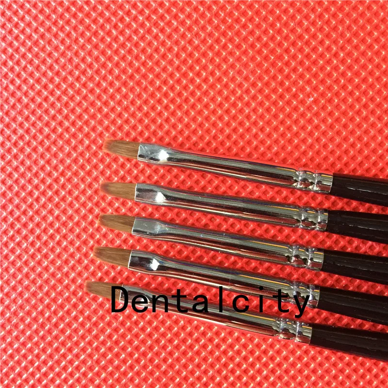 5 шт. стоматологические фарфоровые кисти F0|Модель зубов с орто-металлическим