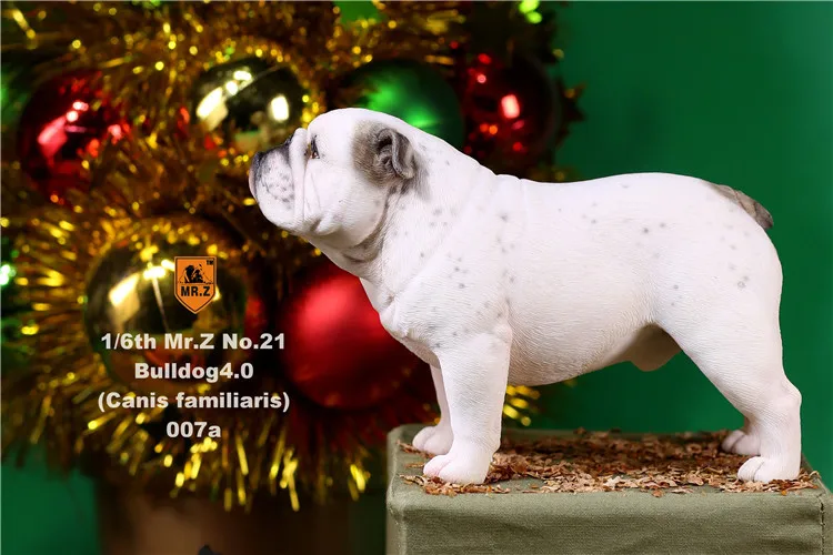 Mr.Z 1/6 Resin French Bulldog Set Garage Kit Statue for 12inch Action Figure Sence DIY | Игрушки и хобби