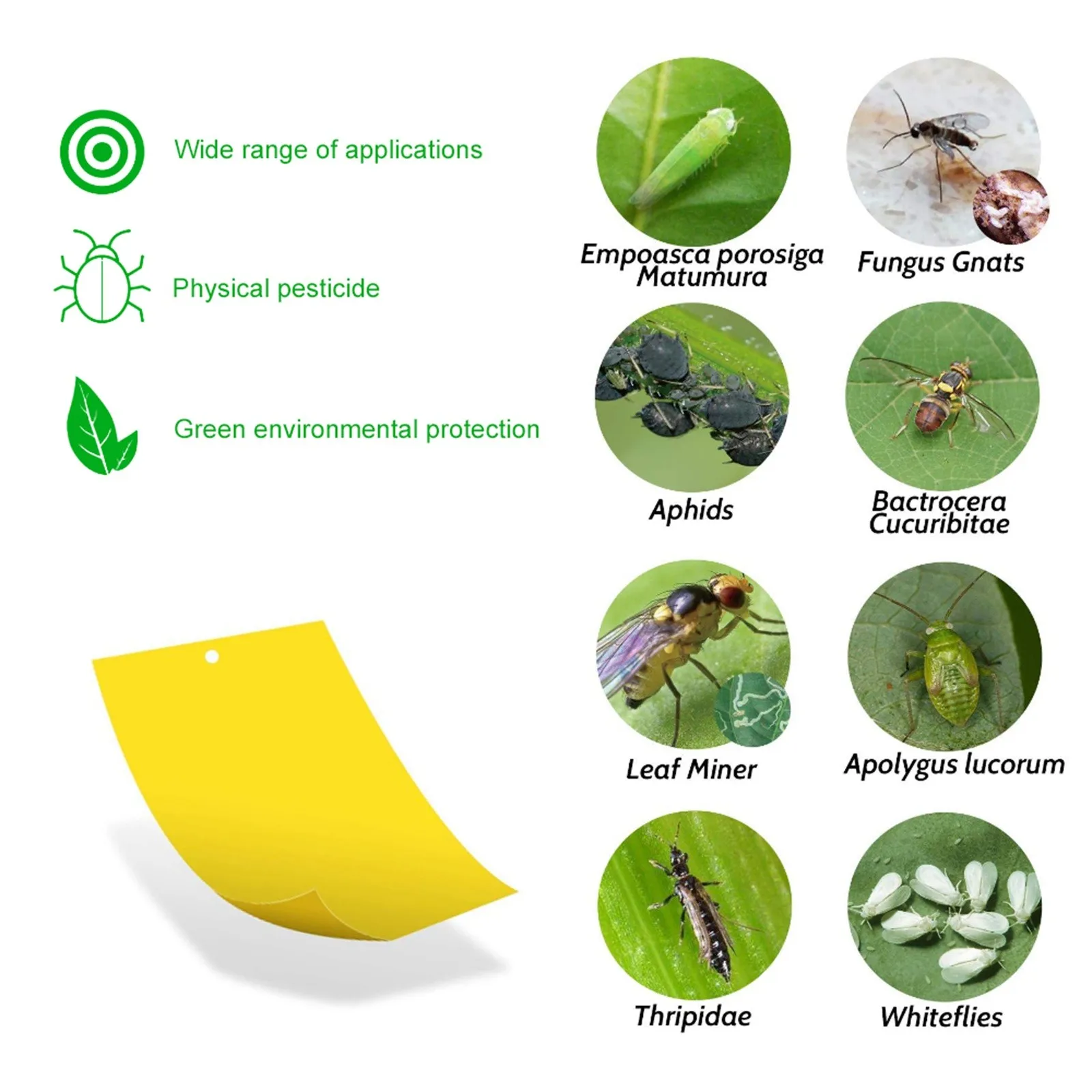 

10/20/30pcs Garden Strong Flies Traps Bugs Sticky Board Catching Aphid Insects Pest Killer Outdoor Fly Trap For Aphids Fungus#W