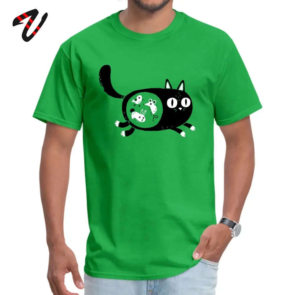 Orange Cat T Shirt for Men Its Whats Inside That Counts Dominant comfortable T-Shirt Designer Tops TShirt Summer/Autumn | Мужская одежда
